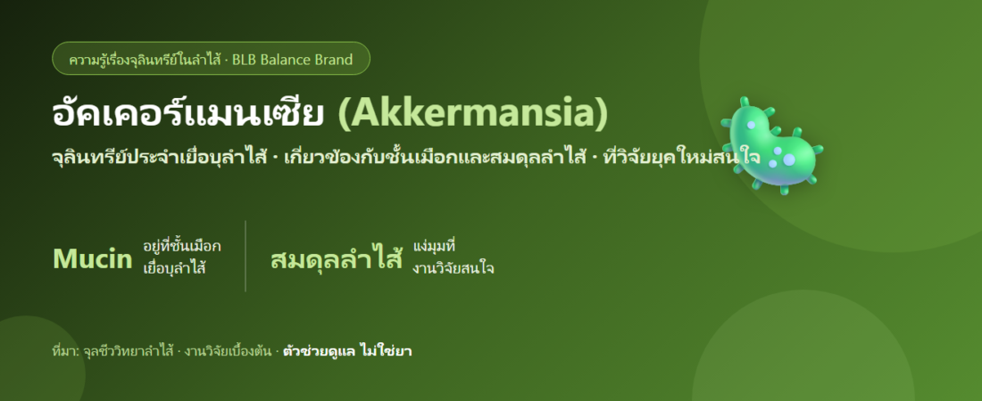 อัคเคอร์แมนเซีย (Akkermansia) จุลินทรีย์เยื่อบุลำไส้ที่งานวิจัยสนใจ