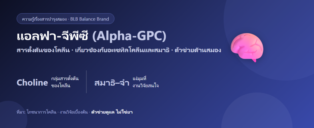 แอลฟา-จีพีซี (Alpha-GPC) สารตั้งต้นโคลีนกับสมอง เข้าใจง่าย ๆ