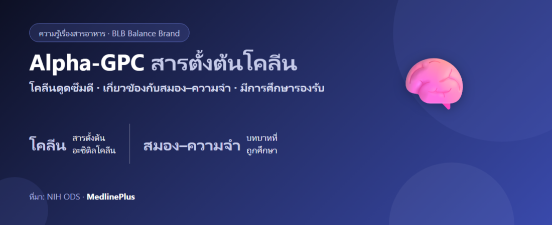 Alpha-GPC คืออะไร? สารตั้งต้นโคลีนที่ร่างกายนำไปใช้บำรุงสมอง–ความจำ
