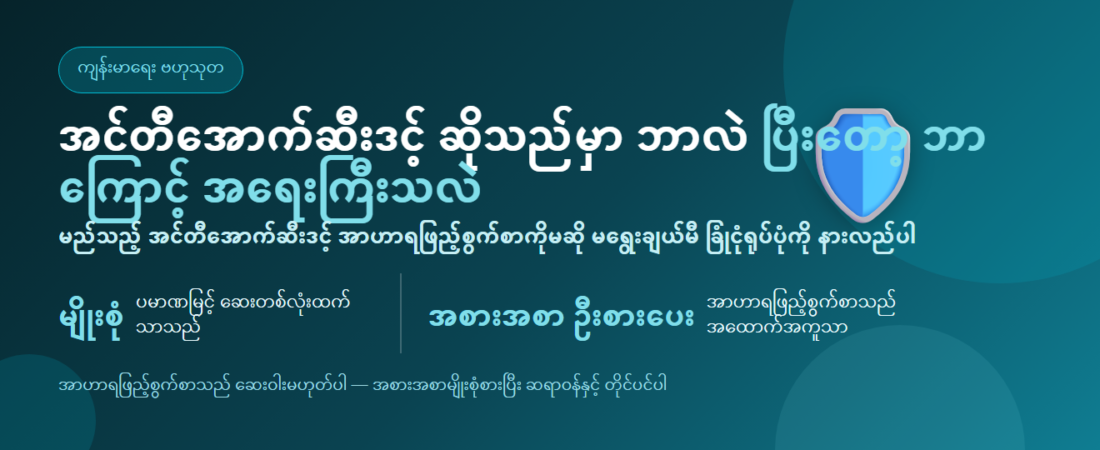 အင်တီအောက်ဆီးဒင့် ဆိုသည်မှာ ဘာလဲ — မရွေးချယ်မီ သိထားရမည့် ခြုံငုံလမ်းညွှန် | BLB