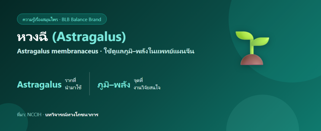 หวงฉี (Astragalus) คืออะไร? สมุนไพรจีนที่ใช้ดูแลภูมิและพลัง