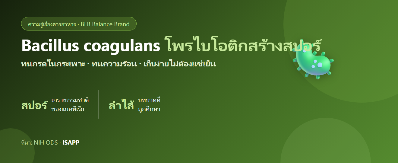 Bacillus coagulans คืออะไร? โพรไบโอติกสายพันธุ์สร้างสปอร์ ทนกรด–ทนความร้อน