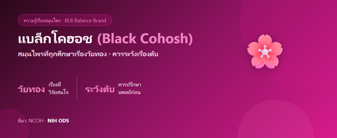 แบล็กโคฮอช (Black Cohosh) คืออะไร? สมุนไพรวัยทองกับสิ่งที่ควรรู้