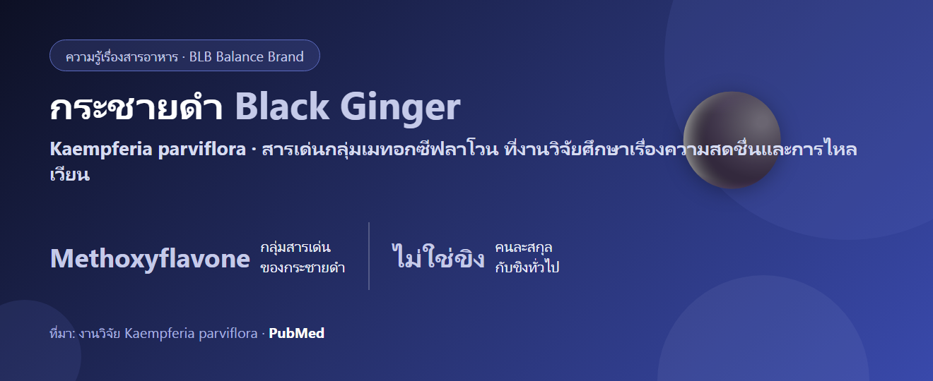 กระชายดำ (Black Ginger) คืออะไร? เมทอกซีฟลาโวน สมุนไพรไทยที่ญี่ปุ่นสนใจ