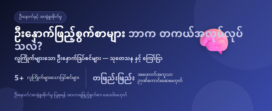 ဦးနှောက်ဖြည့်စွက်စာ ဘာတွေရှိသလဲ? လူကြိုက်များသော ဦးနှောက်ဒြပ်စင်များ ရှင်းလင်းချက် | BLB
