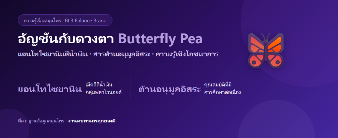 อัญชัน (Butterfly Pea) แอนโทไซยานินกับดวงตาและสารต้านอนุมูลอิสระ
