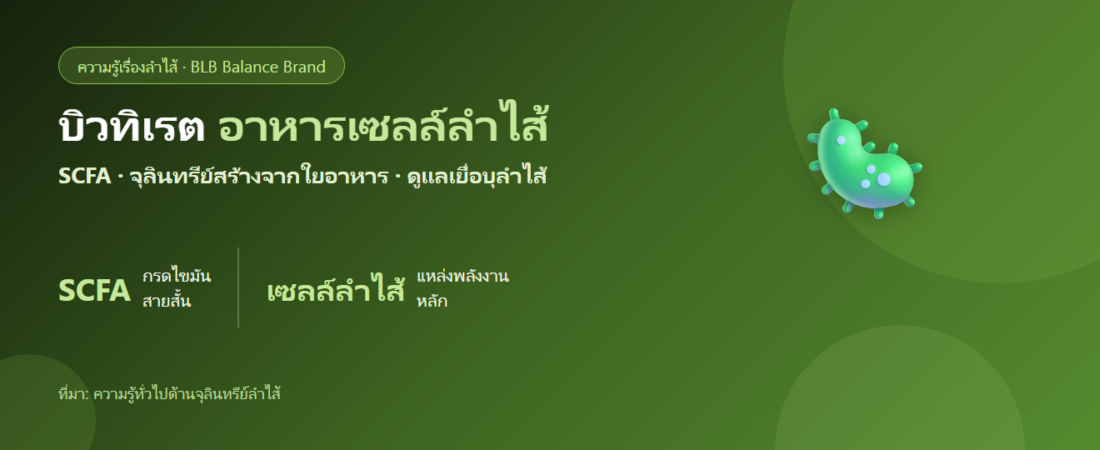 บิวทิเรต (Butyrate) คืออะไร? กรดไขมันสายสั้นที่เป็นอาหารของเซลล์ลำไส้