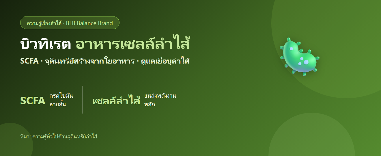 บิวทิเรต (Butyrate) คืออะไร? กรดไขมันสายสั้นที่เป็นอาหารของเซลล์ลำไส้