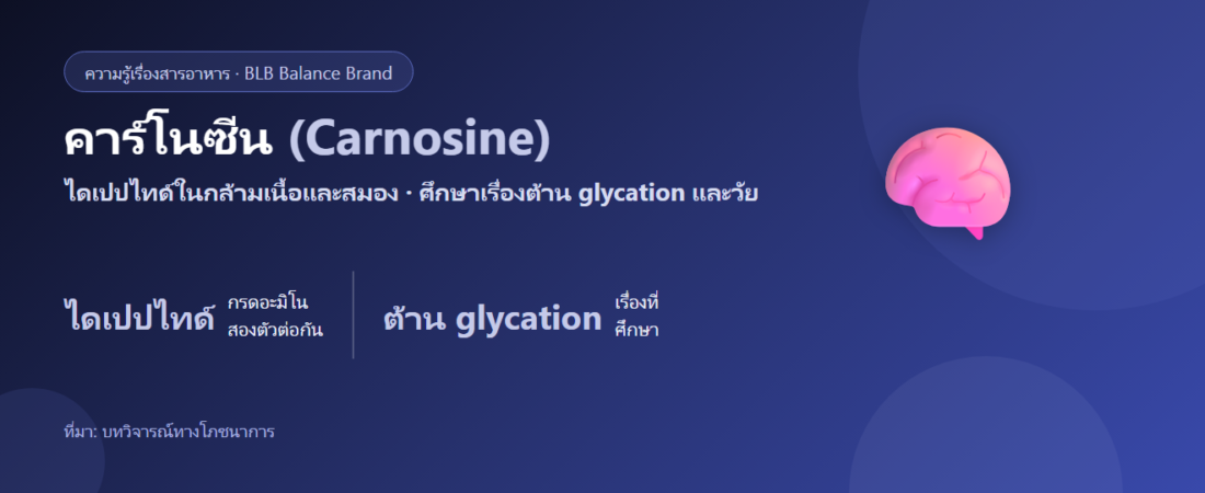 คาร์โนซีน (Carnosine) คืออะไร? ไดเปปไทด์กับการต้าน glycation และสมอง