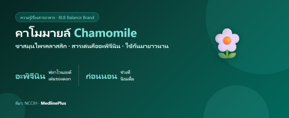 คาโมมายล์ (Chamomile) คืออะไร? ดอกไม้ผ่อนคลายกับสารอะพิจีนิน