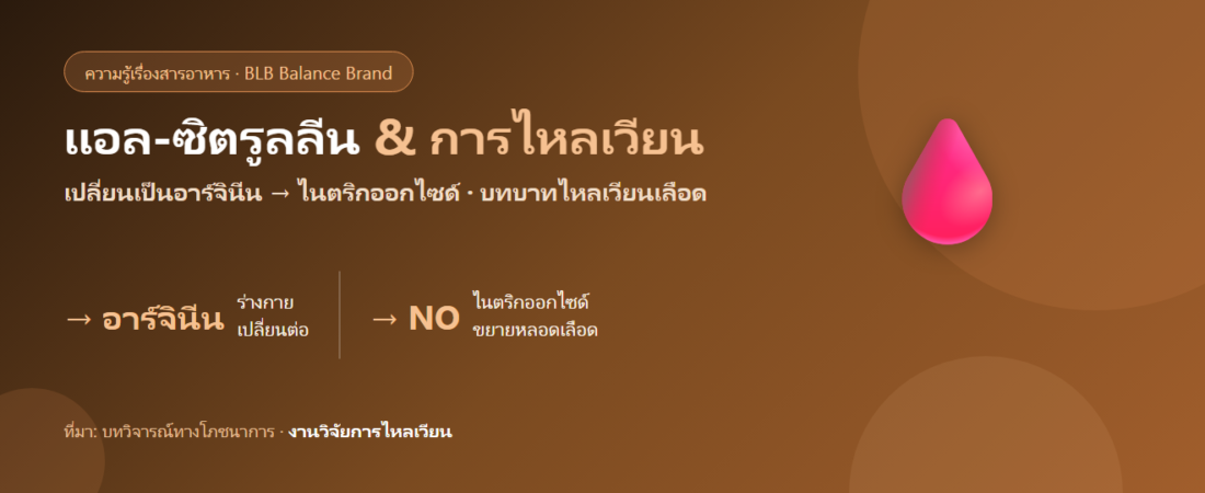 แอล-ซิตรูลลีน (L-Citrulline) คืออะไร? กรดอะมิโนที่ร่างกายเปลี่ยนเป็นไนตริกออกไซด์