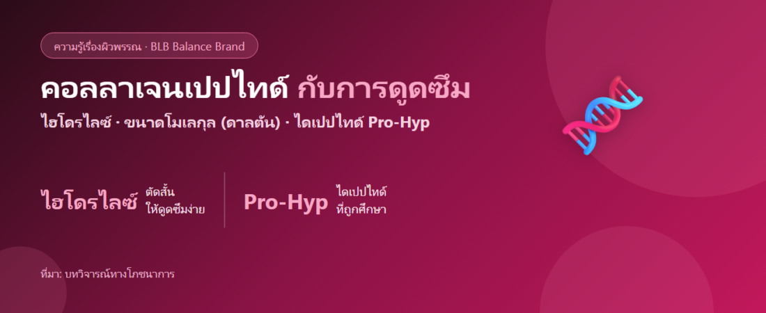 คอลลาเจนเปปไทด์ดูดซึมยังไง? ขนาดโมเลกุล ไฮโดรไลซ์ และไดเปปไทด์ Pro-Hyp