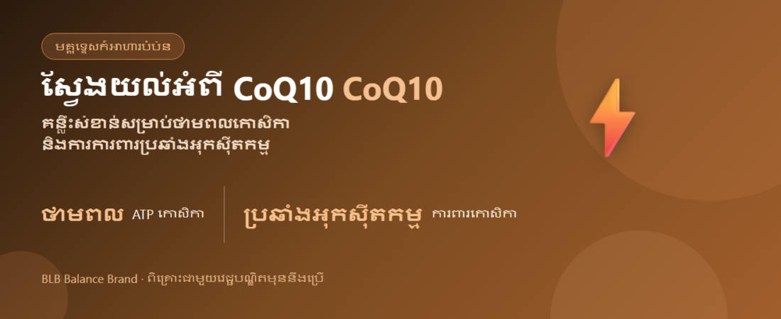 ស្វែងយល់អំពី CoQ10៖ អត្ថប្រយោជន៍ និងរបៀបប្រើ | BLB
