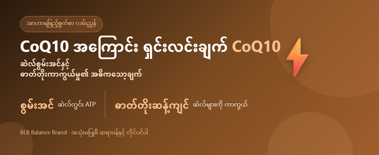 CoQ10 အကြောင်း — အကျိုးကျေးဇူးနှင့် သောက်နည်း | BLB