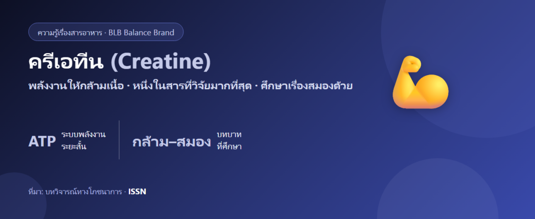 ครีเอทีน (Creatine) คืออะไร? บทบาทต่อกล้ามเนื้อ พลังงาน และสมอง งานวิจัยว่าไง