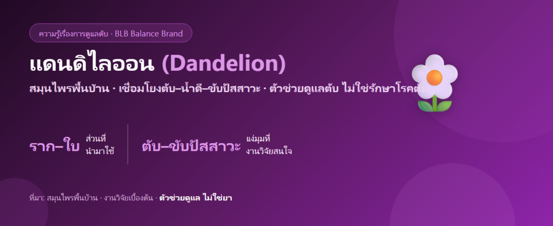 แดนดิไลออน (Dandelion) กับตับและการขับปัสสาวะ เข้าใจง่าย ๆ
