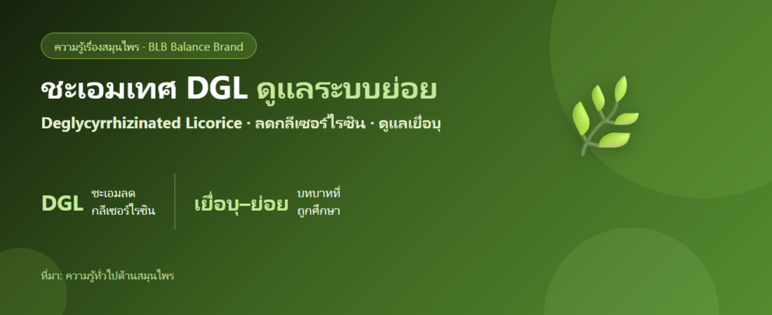 ชะเอมเทศ DGL คืออะไร? รูปชะเอมที่ถูกพูดถึงเรื่องเยื่อบุกระเพาะและระบบย่อย