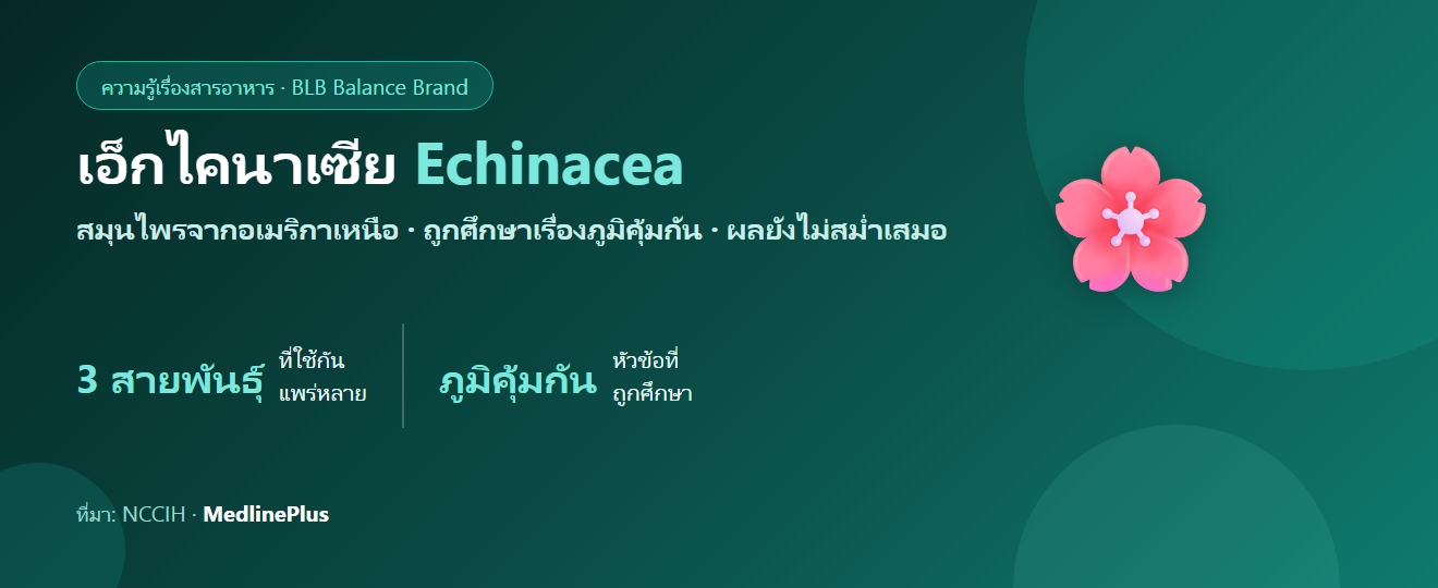 เอ็กไคนาเซีย (Echinacea) คืออะไร? สมุนไพรยอดนิยมเรื่องภูมิคุ้มกัน หลักฐานว่าไง