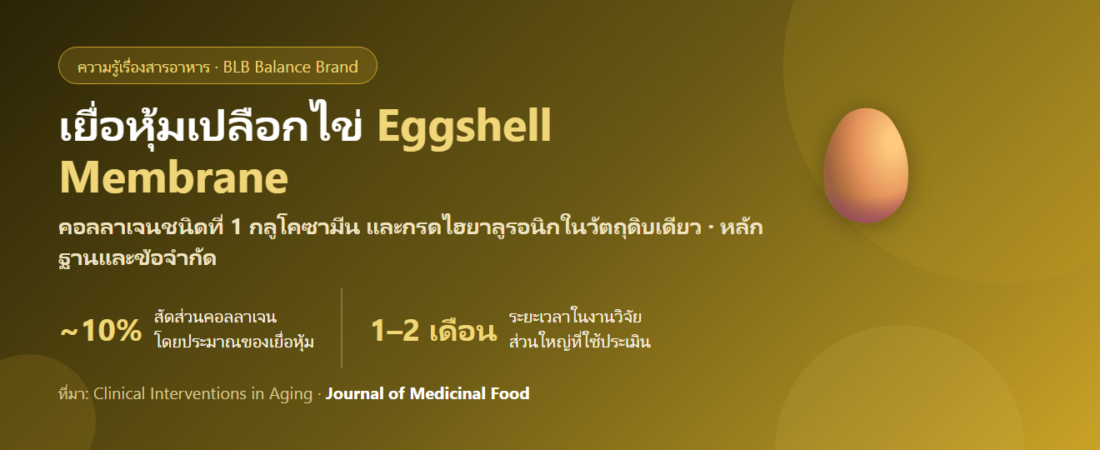 เยื่อหุ้มเปลือกไข่ (Eggshell Membrane) คืออะไร? แผ่นบางใต้เปลือกไข่ที่กลายเป็นวัตถุดิบดูแลข้อ