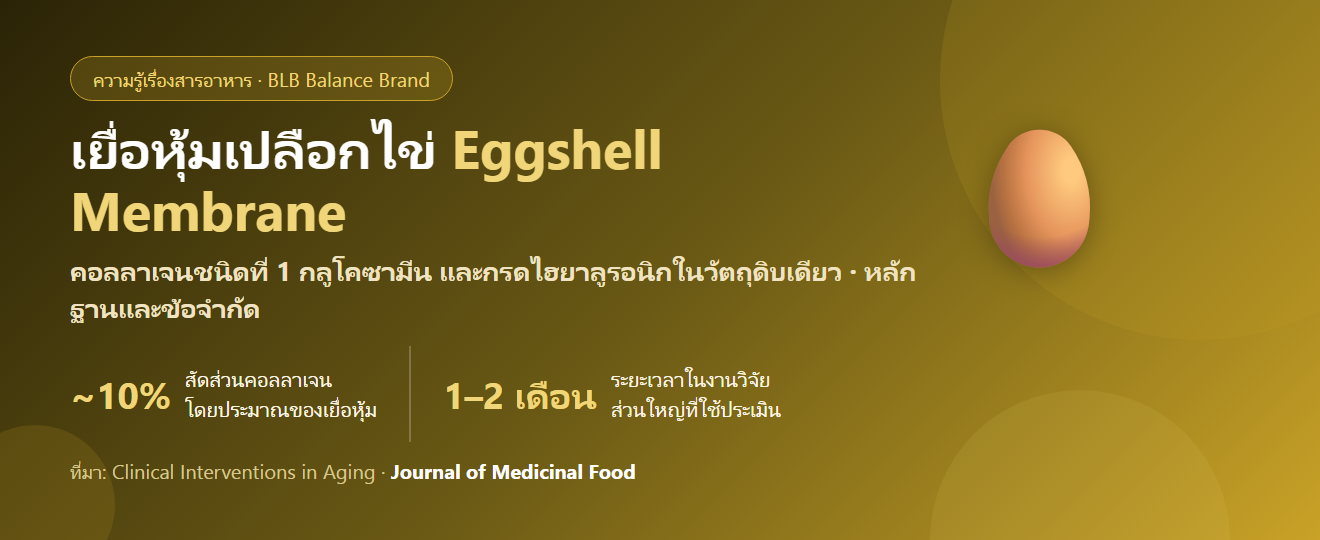 เยื่อหุ้มเปลือกไข่ (Eggshell Membrane) คืออะไร? แผ่นบางใต้เปลือกไข่ที่กลายเป็นวัตถุดิบดูแลข้อ