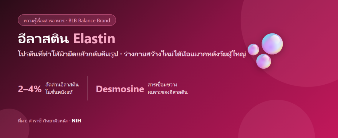 อีลาสติน (Elastin) คืออะไร? โปรตีนความยืดหยุ่นของผิวที่คนพูดถึงน้อยกว่าคอลลาเจน