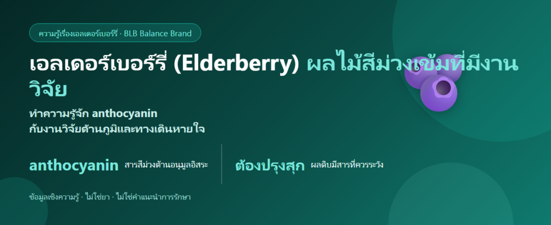 เอลเดอร์เบอร์รี่ (Elderberry) คืออะไร? ผลไม้ที่ศึกษาเรื่องภูมิและทางเดินหายใจ
