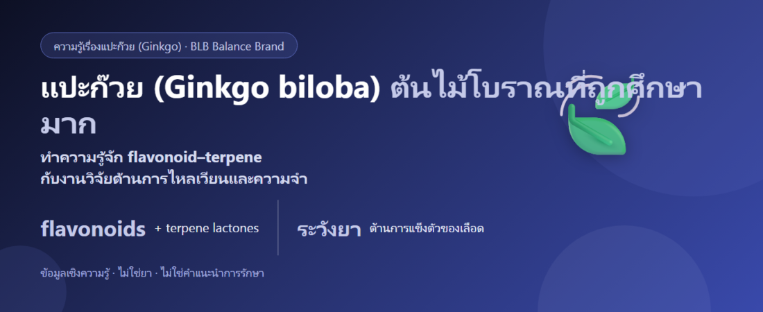 แปะก๊วย (Ginkgo biloba) คืออะไร? สมุนไพรที่ศึกษาเรื่องการไหลเวียนและความจำ