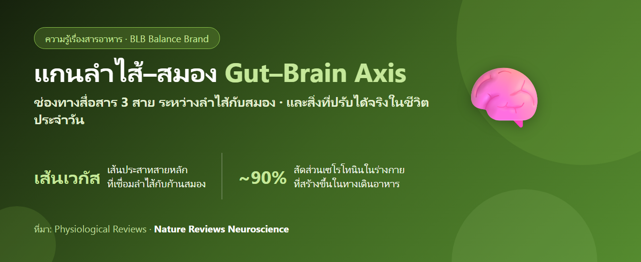 แกนลำไส้–สมอง (Gut–Brain Axis) คืออะไร? ทำไมท้องไม่ดีแล้วอารมณ์พลอยแย่ไปด้วย