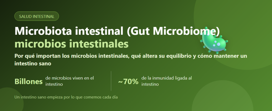 Microbiota intestinal (Gut Microbiome): por qué importa y cómo cuidar un intestino sano | BLB