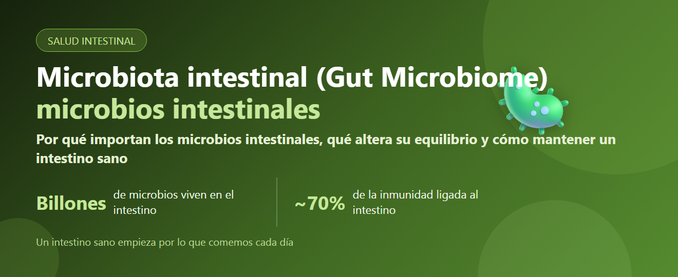 Microbiota intestinal (Gut Microbiome): por qué importa y cómo cuidar un intestino sano | BLB