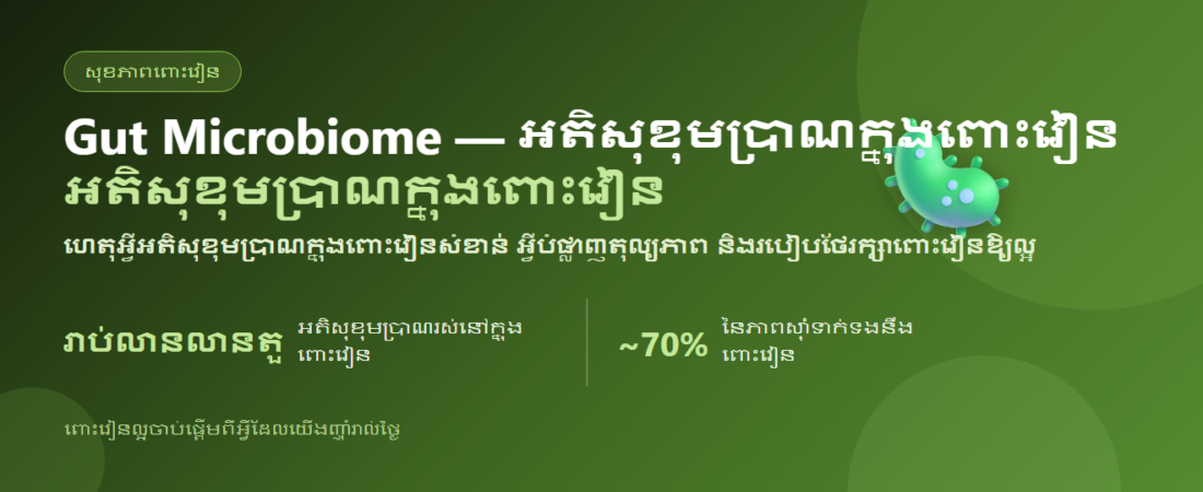 Gut Microbiome — ហេតុអ្វីអតិសុខុមប្រាណក្នុងពោះវៀនសំខាន់ និងរបៀបថែរក្សាពោះវៀនឱ្យល្អ | BLB