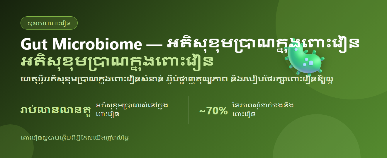 Gut Microbiome — ហេតុអ្វីអតិសុខុមប្រាណក្នុងពោះវៀនសំខាន់ និងរបៀបថែរក្សាពោះវៀនឱ្យល្អ | BLB