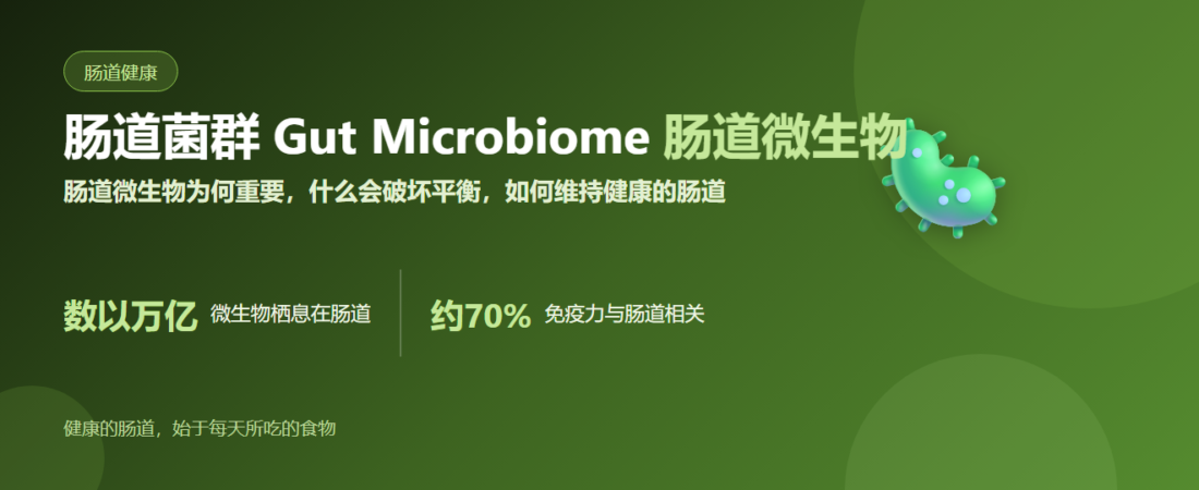肠道菌群 Gut Microbiome：肠道微生物为何重要，如何维持健康的肠道 | BLB
