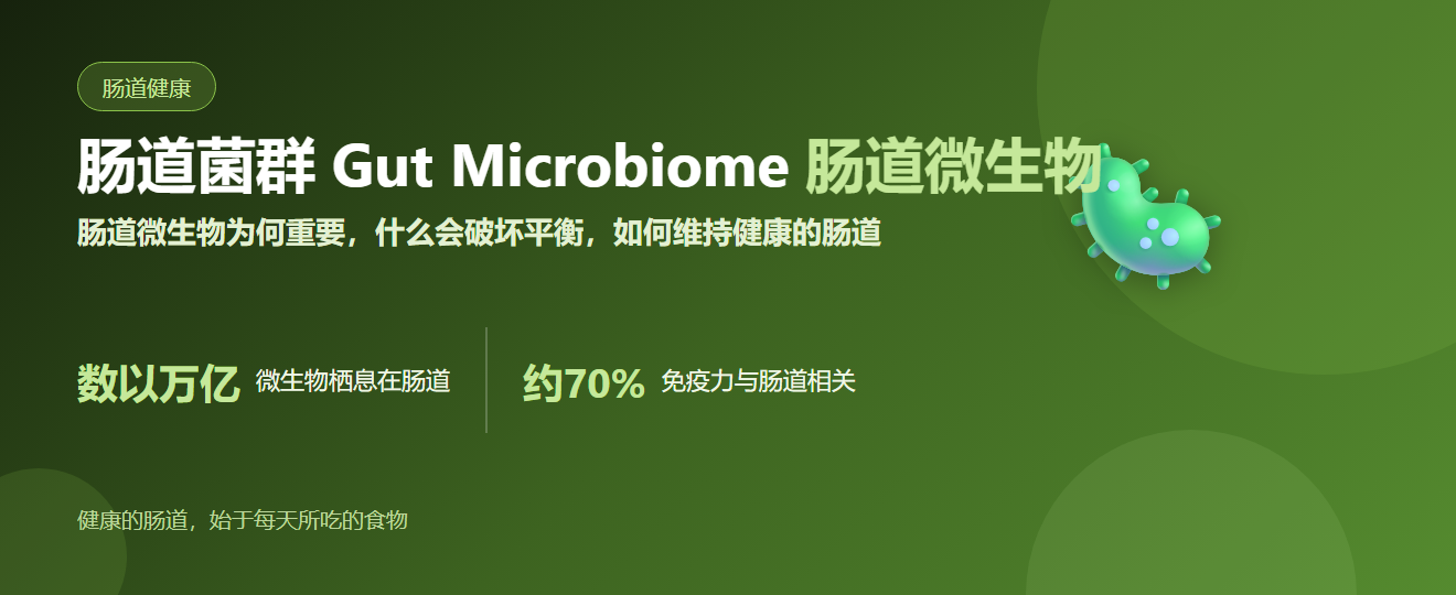 肠道菌群 Gut Microbiome：肠道微生物为何重要，如何维持健康的肠道 | BLB