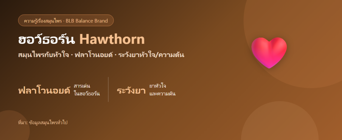 ฮอว์ธอร์น (Hawthorn) กับหัวใจ–หลอดเลือด คืออะไร? เข้าใจแบบเป็นกลาง และเรื่องยาที่ต้องระวัง
