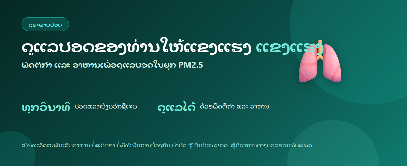ວິທີດູແລປອດໃຫ້ແຂງແຮງ ៖ ພຶດຕິກຳ ແລະ ອາຫານເພື່ອດູແລປອດ