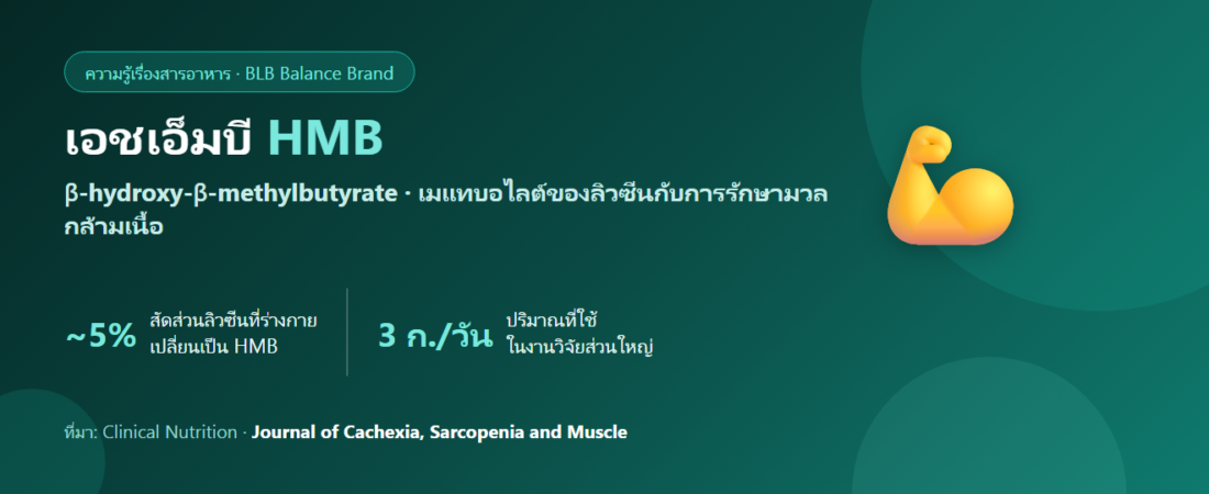 HMB คืออะไร? สารจากลิวซีนที่ถูกศึกษาเรื่องมวลกล้ามเนื้อในผู้สูงวัย
