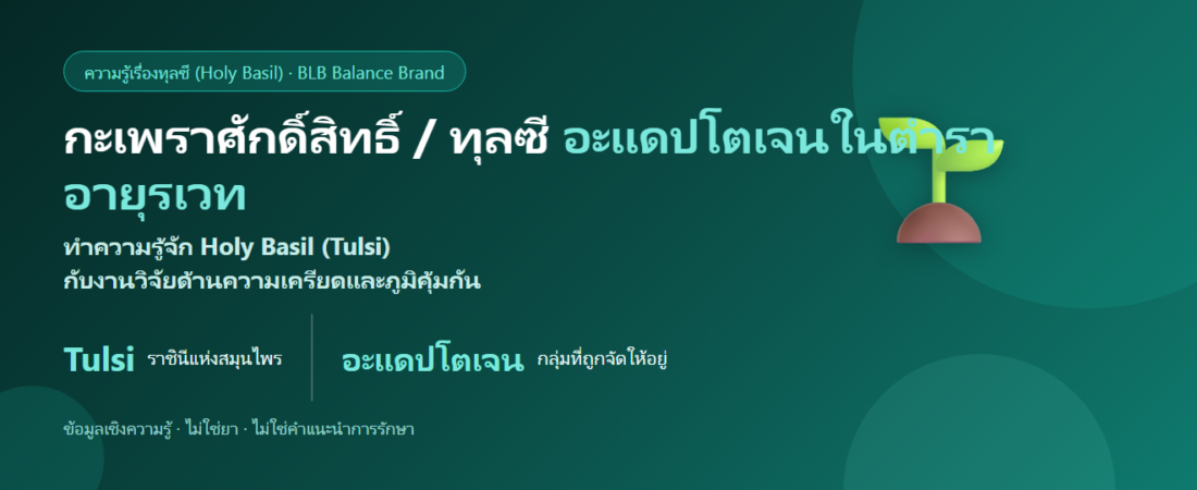 กะเพราศักดิ์สิทธิ์ / ทุลซี (Holy Basil) คืออะไร? อะแดปโตเจนกับความเครียดและภูมิ