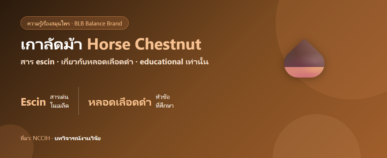 เกาลัดม้า (Horse Chestnut) กับหลอดเลือดดำ–เส้นเลือดขอด คืออะไร? educational