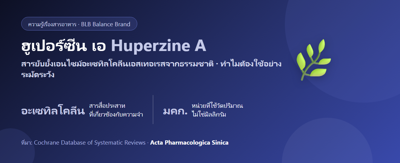 ฮูเปอร์ซีน เอ (Huperzine A) คืออะไร? สารจากตะไคร่หินกับความจำ และเหตุผลที่ต้องระวัง