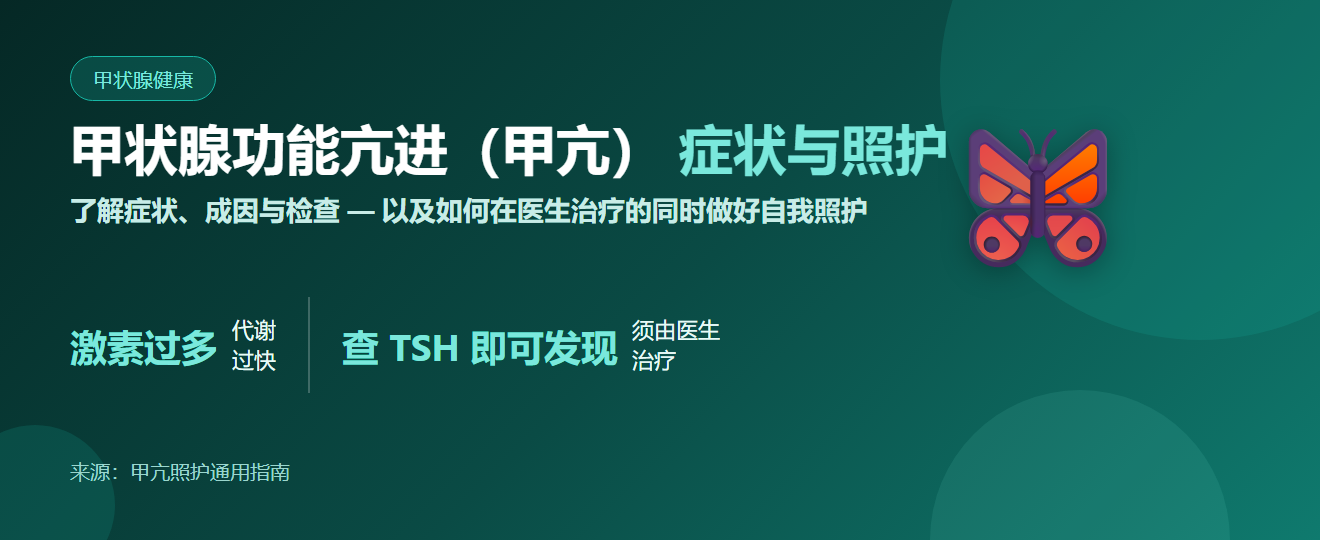 甲状腺功能亢进（甲亢）：症状、成因、检查与自我照护 | BLB