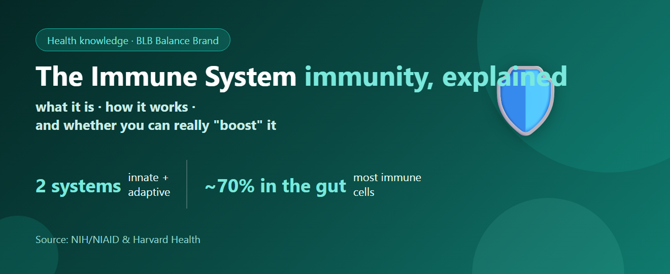 What Is the Immune System? Can You Really Boost Immunity? | BLB