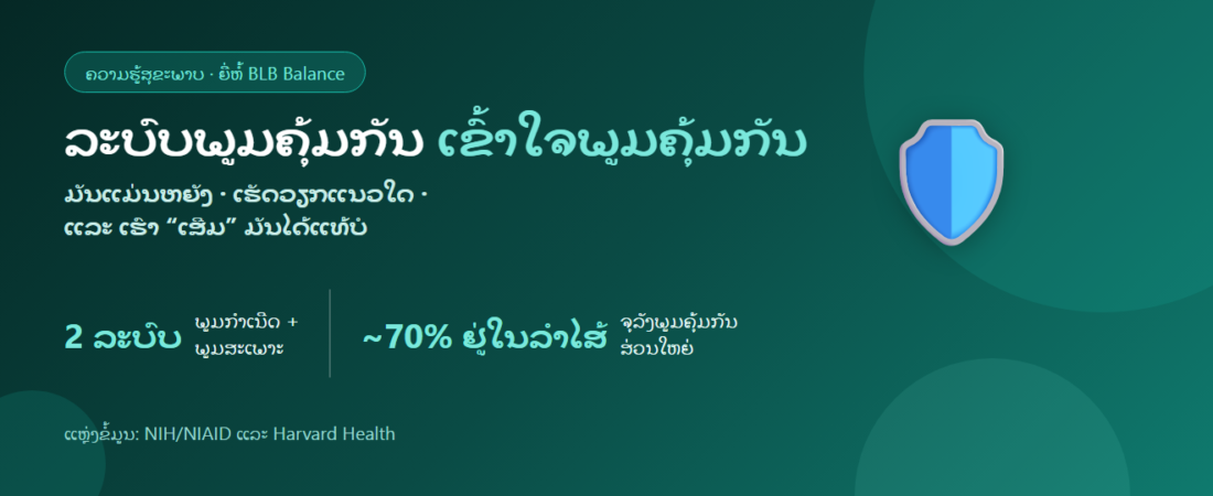 ລະບົບພູມຄຸ້ມກັນແມ່ນຫຍັງ? ເສີມພູມຄຸ້ມກັນໄດ້ແທ້ບໍ?