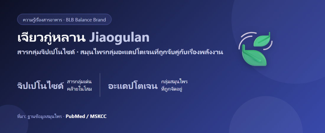 เจียวกู่หลาน (Jiaogulan) คืออะไร? สมุนไพรจีนที่ถูกเรียกว่า “โสมภาคใต้”