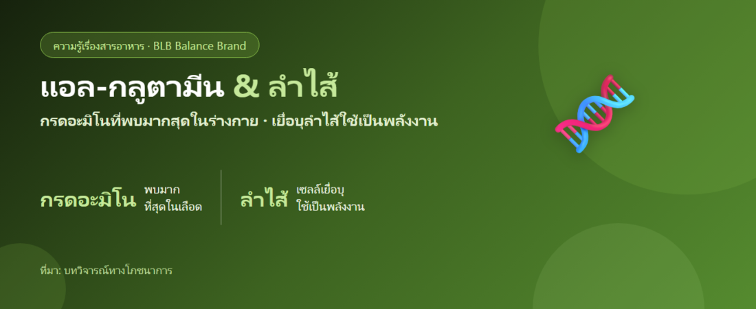 แอล-กลูตามีน (L-Glutamine) คืออะไร? กรดอะมิโนที่เยื่อบุลำไส้ใช้เป็นพลังงาน