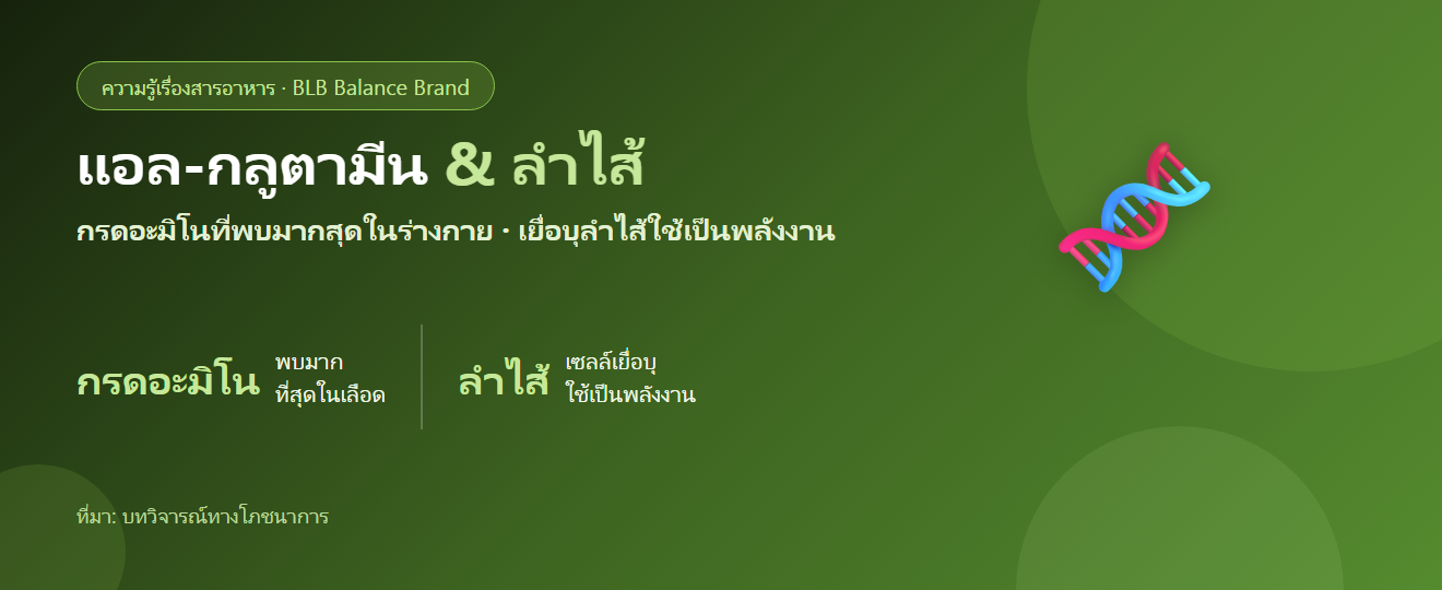 แอล-กลูตามีน (L-Glutamine) คืออะไร? กรดอะมิโนที่เยื่อบุลำไส้ใช้เป็นพลังงาน