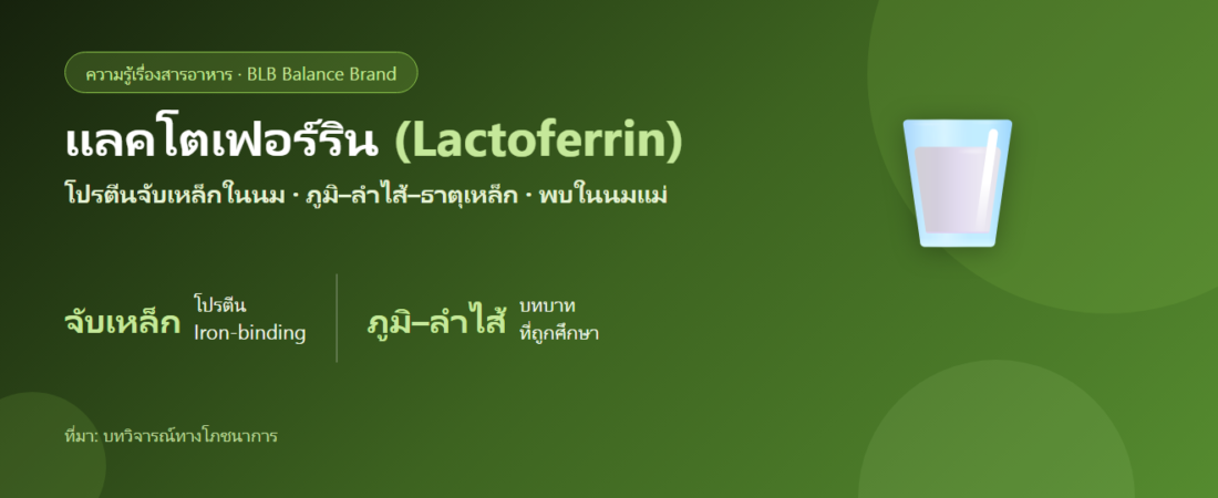 แลคโตเฟอร์ริน (Lactoferrin) คืออะไร? โปรตีนจับเหล็กในนมกับภูมิและลำไส้