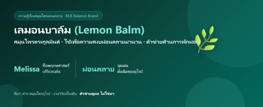 เลมอนบาล์ม (Lemon Balm/Melissa) สมุนไพรผ่อนคลาย เข้าใจใน 5 นาที