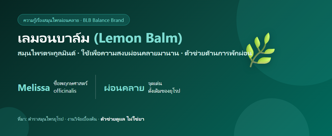 เลมอนบาล์ม (Lemon Balm/Melissa) สมุนไพรผ่อนคลาย เข้าใจใน 5 นาที