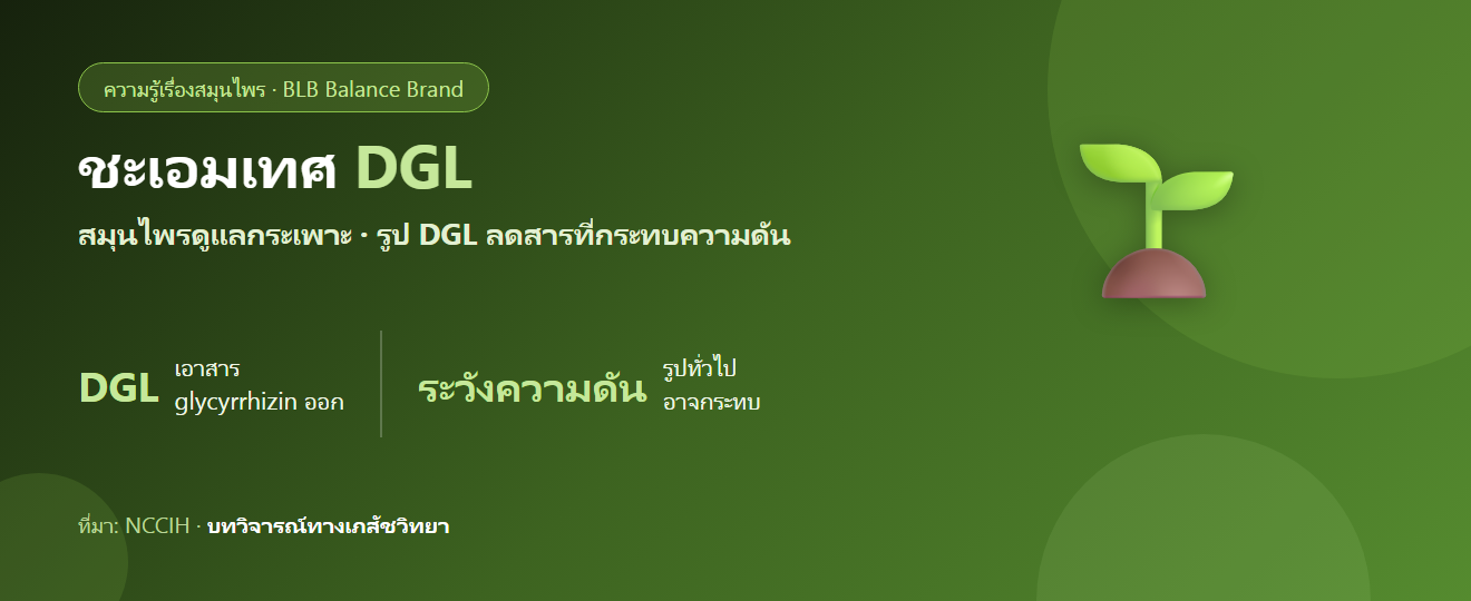 ชะเอมเทศ DGL คืออะไร? สมุนไพรดูแลกระเพาะกับข้อควรระวังเรื่องความดัน